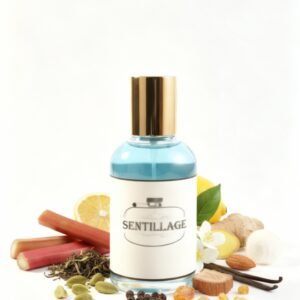 L'homme Lacoste Timeless