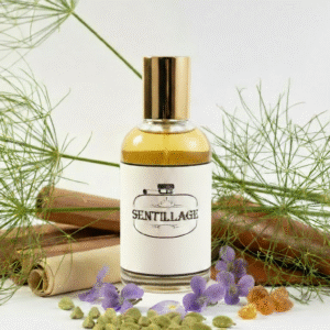 Santal 33